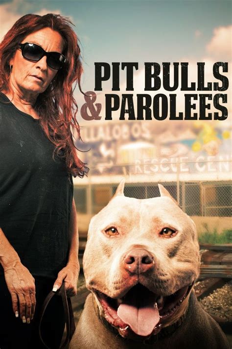 how did prada the pit bull die|prada pitbulls and parolees.